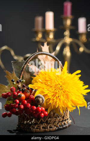 Tipico olandese piccante riempito i biscotti con mandorle in autunno colorato e lo sfondo scuro Foto Stock