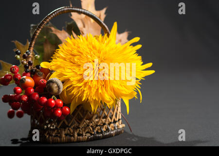 Tipico olandese piccante riempito i biscotti con mandorle in autunno colorato e lo sfondo scuro Foto Stock