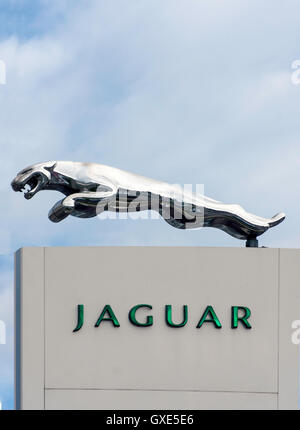 Jaguar segno della concessionaria Foto Stock