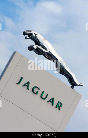 Jaguar statua alla concessionaria auto Foto Stock