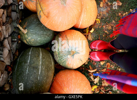 In autunno la zucca pioggia rossa e scarpe di legno con sfondo leavs. Foto Stock