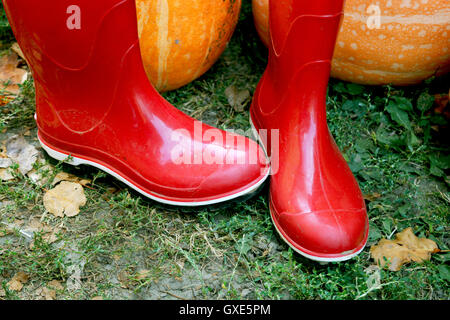 In autunno la zucca pioggia rossa e scarpe di legno con sfondo leavs. Foto Stock