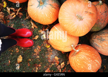 In autunno la zucca pioggia rossa e scarpe di legno con sfondo leavs. Foto Stock