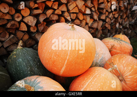 In autunno la zucca pioggia rossa e scarpe di legno con sfondo leavs. Foto Stock