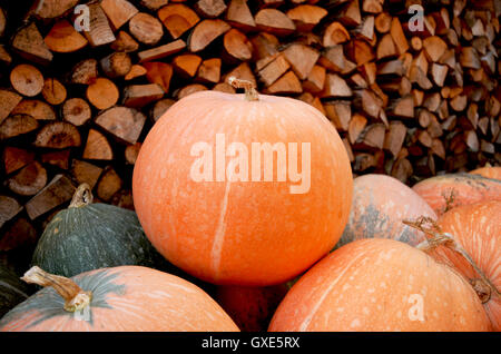 In autunno la zucca pioggia rossa e scarpe di legno con sfondo leavs. Foto Stock