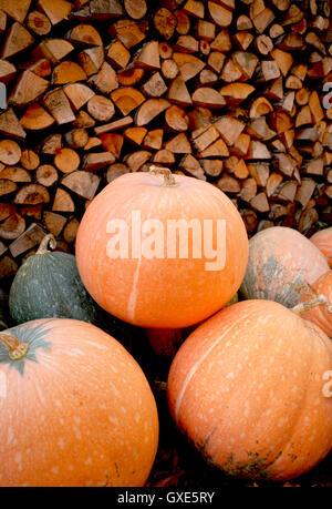 In autunno la zucca pioggia rossa e scarpe di legno con sfondo leavs. Foto Stock