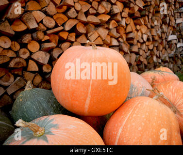 In autunno la zucca pioggia rossa e scarpe di legno con sfondo leavs. Foto Stock