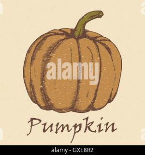 Mano bozzetto di zucca. Illustrazione Vettoriale