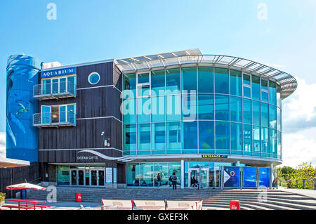 Il National Marine Aquarium a Plymouth, Devon, Inghilterra, Regno Unito Foto Stock