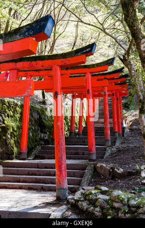 Giappone, Izushi castello. Fila di Vermiglio Torii cancelli lungo la scalinata in pietra che conduce tra il castello di Ishigaki pareti di pietra al (invisibile) inari santuario. Foto Stock