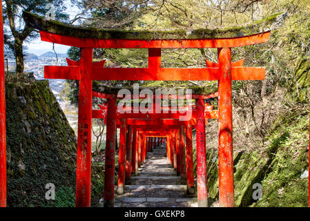 Giappone, Izushi castello. Fila di Vermiglio Torii cancelli lungo la scalinata in pietra che conduce tra il castello di Ishigaki pareti di pietra al (invisibile) inari santuario. Foto Stock