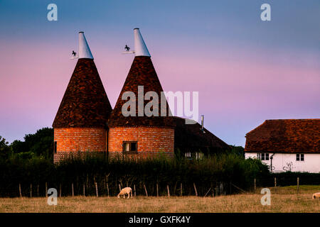 Oast tradizionali case, Kent, Regno Unito Foto Stock