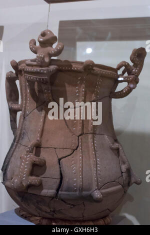 Museo archeologico di Tierradentro Foto Stock