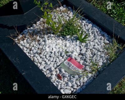 Tombe dei giovani che sono morti quando le truppe dall'Unione Sovietica schiacciato la rivoluzione ungherese contro la dominazione sovietica del 23 ottobre 1956, 60 anni fa. Il cimitero di Kerepesi.Budapest. Ungheria Foto Stock