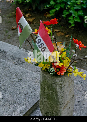 Tombe dei giovani che sono morti quando le truppe dall'Unione Sovietica schiacciato la rivoluzione ungherese contro la dominazione sovietica del 23 ottobre 1956, 60 anni fa. Il cimitero di Kerepesi.Budapest. Ungheria Foto Stock