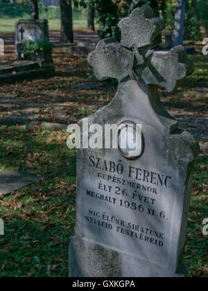 Tombe dei giovani che sono morti quando le truppe dall'Unione Sovietica schiacciato la rivoluzione ungherese contro la dominazione sovietica del 23 ottobre 1956, 60 anni fa. Il cimitero di Kerepesi.Budapest. Ungheria Foto Stock