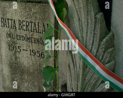 Tombe dei giovani che sono morti quando le truppe dall'Unione Sovietica schiacciato la rivoluzione ungherese contro la dominazione sovietica del 23 ottobre 1956, 60 anni fa. Il cimitero di Kerepesi.Budapest. Ungheria Foto Stock