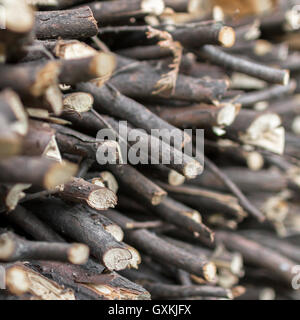 In legno naturale dello sfondo. Extreme closeup di legna da ardere spaccati. Legna da ardere impilati e preparati per l'inverno. Foto Stock