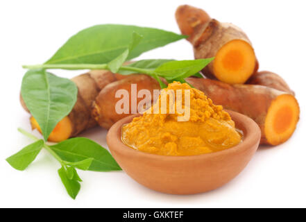 Curcuma con foglie di hennè su sfondo bianco Foto Stock