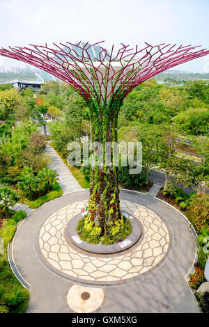 Alberi Supergrove presso i giardini dalla Baia di Singapore Foto Stock