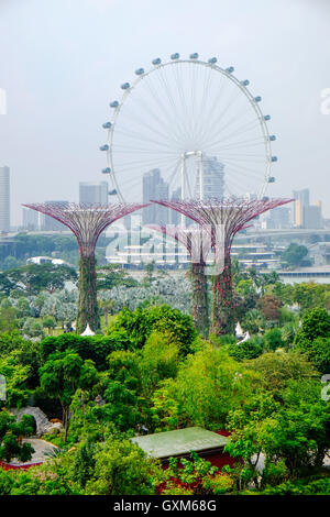 Alberi Supergrove presso i giardini dalla baia di Singapore Foto Stock