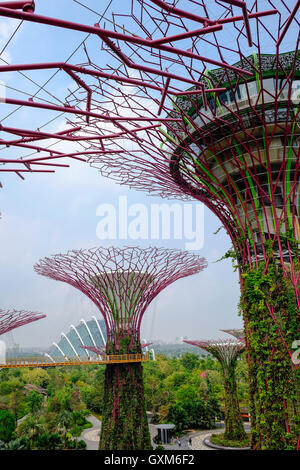 Alberi Supergrove presso i giardini dalla baia di Singapore Foto Stock