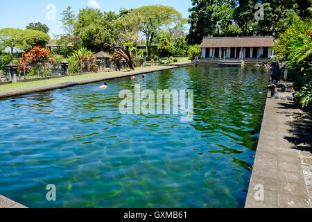 Piscina a Tirta Gangga acqua Palace Bali Indonesia Foto Stock