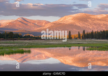 Tuolumne Meadows al tramonto, Yosemite National Park, California, Stati Uniti d'America. Molla (Giugno) 2015. Foto Stock