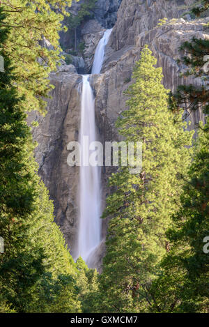 Abbassare Yosemite Falls Yosemite Valley, Califorinia, STATI UNITI D'AMERICA. Molla (Giugno) 2015. Foto Stock