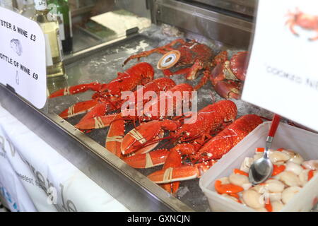 Newquay, Cornwall, Regno Unito. Il 17 settembre 2016. Una folla di persone frequentano il Newquay Sagra del Pesce nel 300 anno vecchio porto. Bancarelle offrono vari frutti di mare e di artigianato locale. Credito: Nicholas Burningham/Alamy Live News Foto Stock