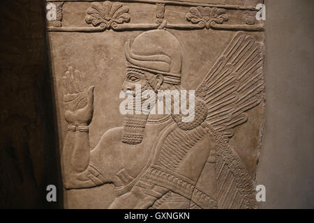 Rilievo con avvolto genius. Ix secolo A.C. Neo-Assyrian. Regno di Ashurnasirpal. Nimrud (antica Kalhu). Mesopotamia settentrionale. Foto Stock