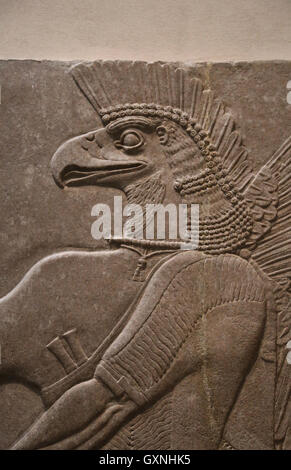 Sollievo. Eagle-intitolata dio Nisrok. Ix secolo A.C. Neo-Assyrian. Regno di Ashurnasirpal. Nimrud (antica Kalhu). Mesopotamia. Foto Stock