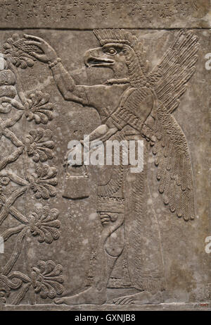 Sollievo. Eagle-intitolata dio Nisrok. Ix secolo A.C. Neo-Assyrian. Regno di Ashurnasirpal. Nimrud (antica Kalhu). Mesopotamia. Foto Stock