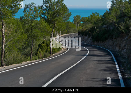 Strada di Montagna con pini e vista mare Foto Stock