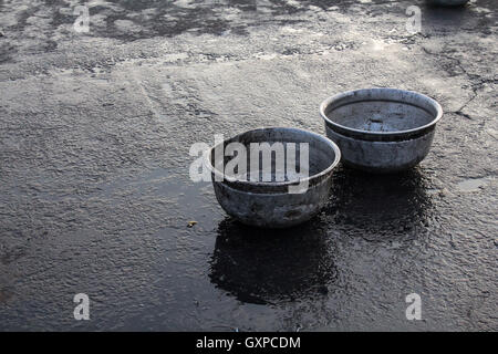 Calamari in vendita presso asian mercato del pesce,Neendakara,Quilon,Kerala, India Foto Stock
