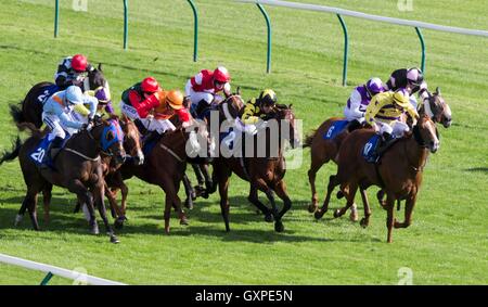 Lincoln cavalcato da Graham Lee vince il Al Maktoum College, Dundee Hadicap picchetti durante il giorno due del 2016 William Hill Ayr Gold Cup Festival a Ayr Racecourse. Foto Stock