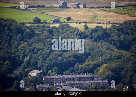 Rams fondo villaggio rurale lancashire Foto Stock