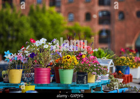 Manchester castlefield Merchant Warehouse Castlefield loft uffici stile paesaggio urbano mulino di mattoni waterfront Rochdale c Foto Stock