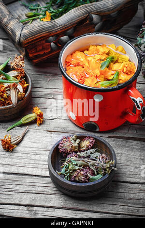 Boccale di ferro con decotti a base di erbe di trifoglio e Le calendule Foto Stock