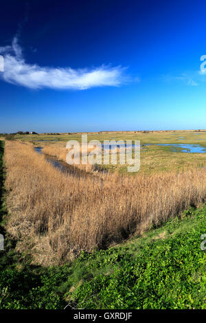 La molla vista su Thornham barene, Costa North Norfolk, Inghilterra, Regno Unito Foto Stock