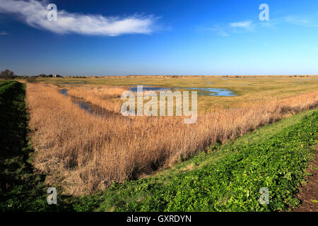 La molla vista su Thornham barene, Costa North Norfolk, Inghilterra, Regno Unito Foto Stock