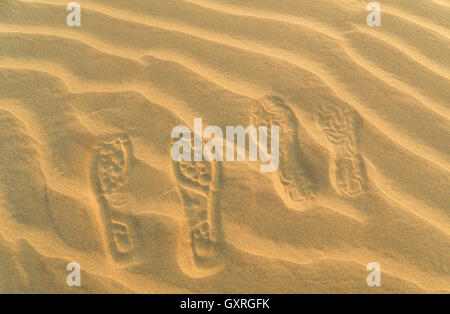 Orme nella sabbia del Grande deserto indiano, Rajasthan, India Foto Stock