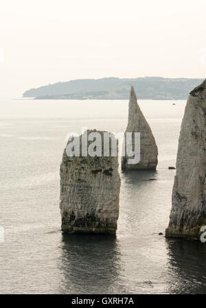 Bianco gessoso scogliere lungo la costa di Purbeck, East Dorset , UK, noto come Jurassic Coast. Foto Stock