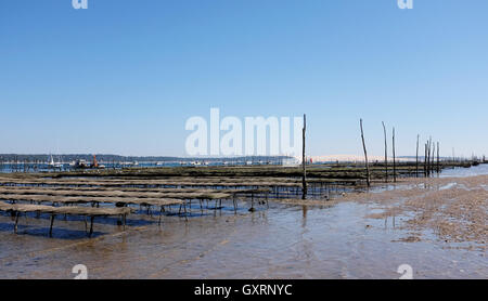 Oyster reti e azienda agricola a Cap Ferret sulla costa atlantica della Francia Foto Stock