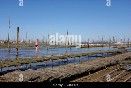 Oyster di reti e la spiaggia di Cap Ferret sulla costa atlantica della Francia Foto Stock