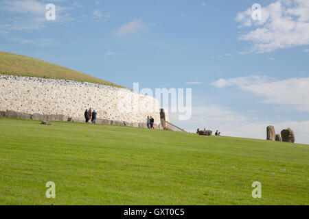 Newgrange Cairn, Donore, Irlanda Foto Stock