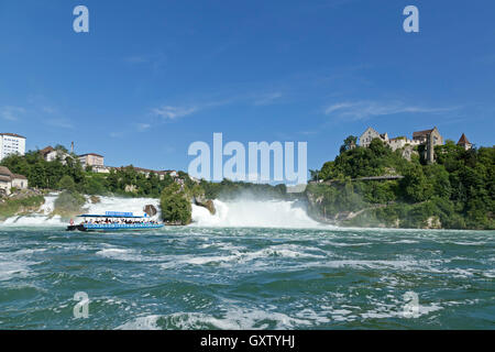 Il fiume Reno cade e Laufen Castello vicino a Sciaffusa, Neuhausen am Rheinfall, Svizzera Foto Stock