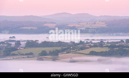 Nebbia copriva campagna di laminazione all'alba vicino a Moretonhampstead, Parco Nazionale di Dartmoor, Devon, Inghilterra. In estate (Luglio) 2015. Foto Stock