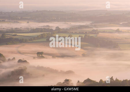 Nebbia copriva il rotolamento campagna vicino a Chagford, Parco Nazionale di Dartmoor, Devon, Inghilterra. In estate (Luglio) 2015. Foto Stock