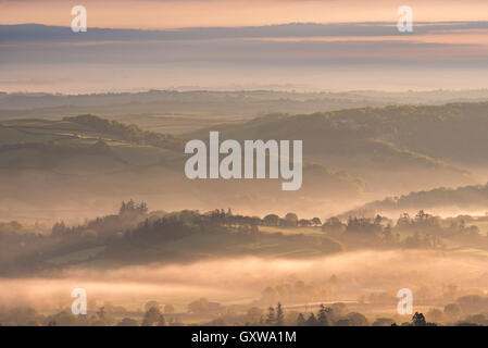 La mattina presto la luce del sole e la nebbia oltre il paesaggio del Parco Nazionale di Dartmoor, Devon, Inghilterra. Molla (maggio) 2016. Foto Stock